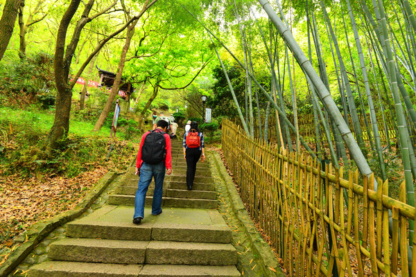 公园|游定海鸦片战争遗址公园,忆往昔惨烈战场