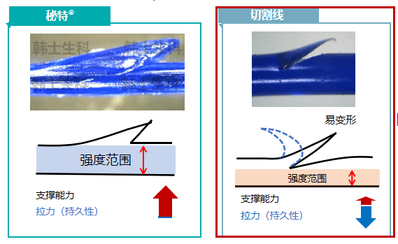 王岳伦|李湘这是要让王岳伦净身出户？不愧是脑子清醒有手段的她...