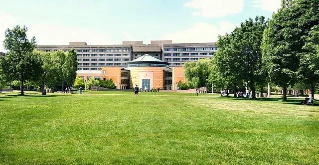 约克大学世界排名_才不是奢望呢!上预科也能去世界知名大厂