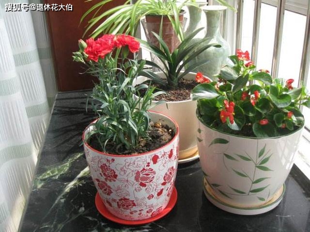 哪些花可以用尿素施肥 0502d10aa91e4a4b8794440eb90acce3.jpeg
