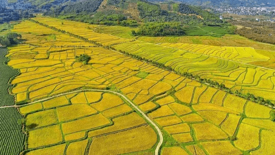 德清县gdp_德清县地图