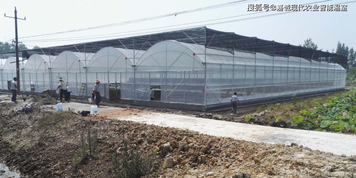 北方地区的薄膜连栋温室如何增强抗雪能力?初始设计很