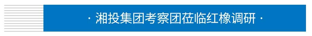 湘投董事长_湘投控股集团董事长一行莅临红橡科技考察调研