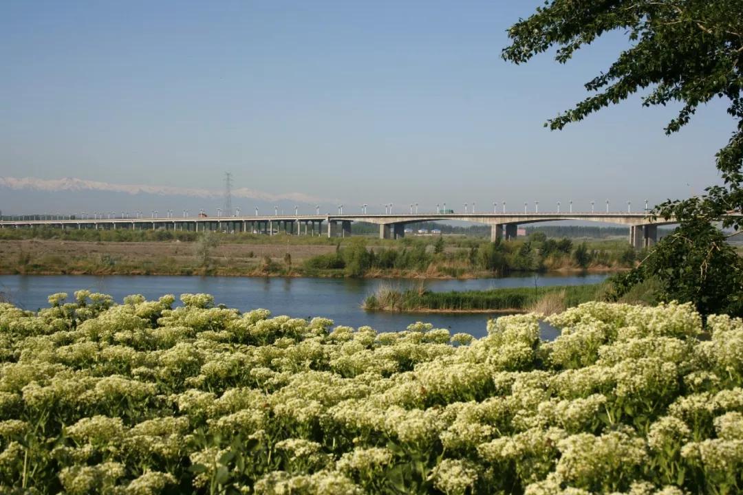 伊犁市霍城县人口_伊犁霍城县(3)