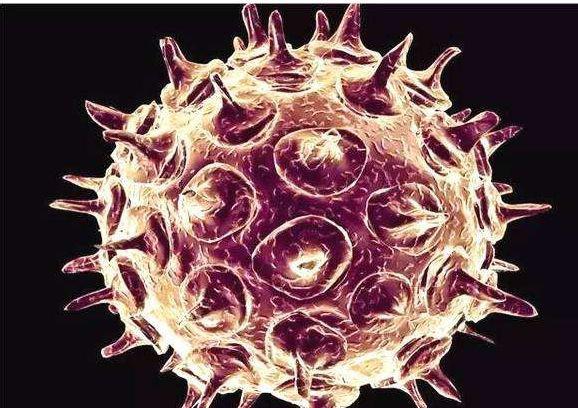 急性上呼吸道感染症状图 edb22907e19540a299ee59be7fb65ad1.jpeg