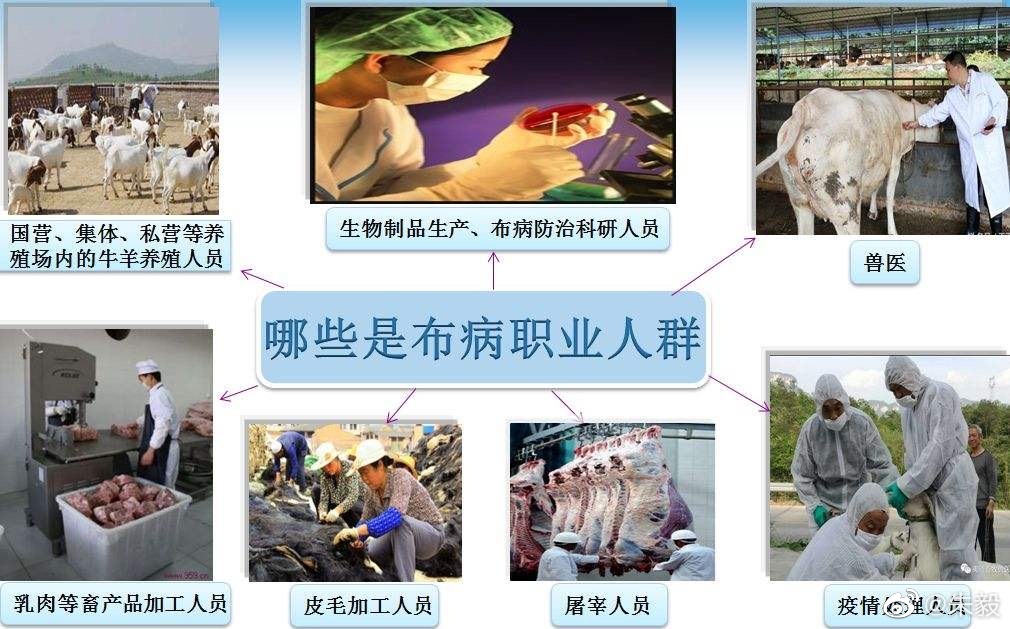 兰州布病事件6620人复核阳性，当地承诺应检尽检、终身负责