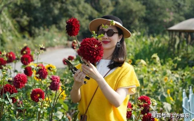 少女|互相比美？董花花晒背身照宛如少女，张大奕忙事业发际线感人