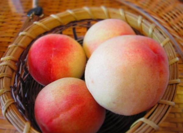 桃子怎么洗才好看 fd08dc0fabfc4fd98a5459cef3c148e6.jpeg