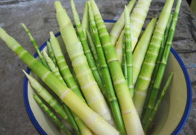 笋的口感和味道 212022dcf190436eb184a5be9e4a024e.jpeg