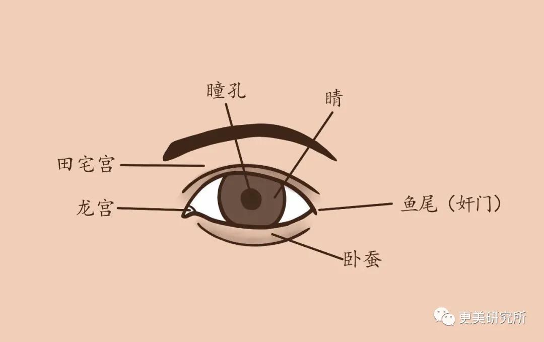 fa|向太逼生3胎,只因郭碧婷是绝对的豪门”多子脸”…