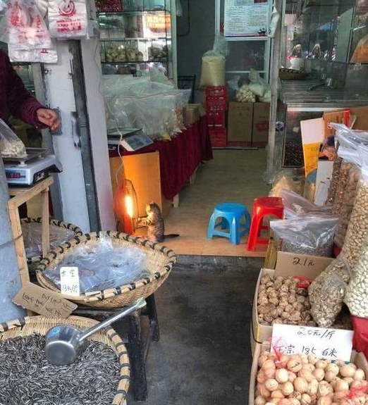 村什么店成语_成语故事简笔画(2)