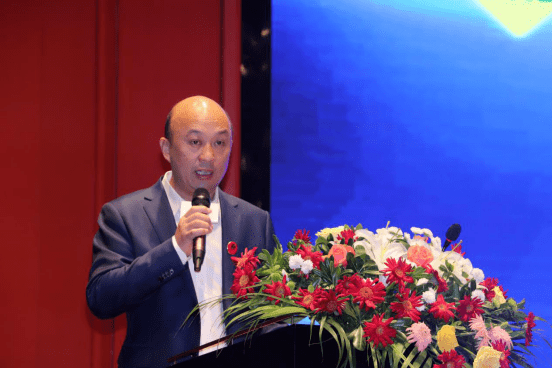湖北省黄麦岭控股集团董事长高振华