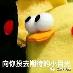 fa|向太逼生3胎,只因郭碧婷是绝对的豪门”多子脸”…