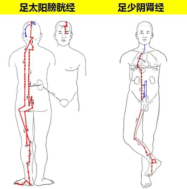 林医生教你:拍打人体八虚,祛除五脏之邪!