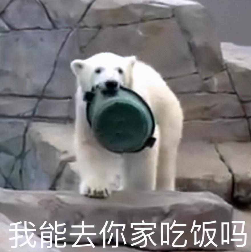 我能去你家吃饭吗?