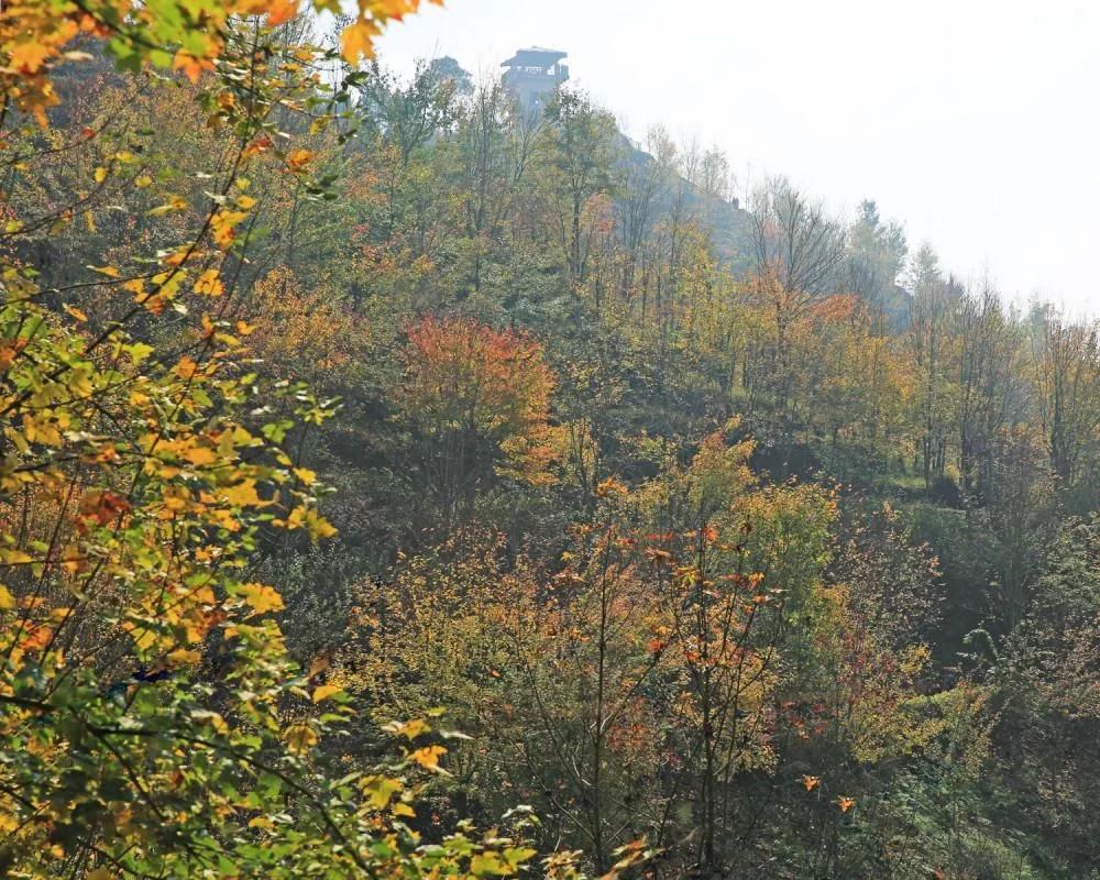 难得有晴天重庆巴南区丰盛古镇的彩色森林