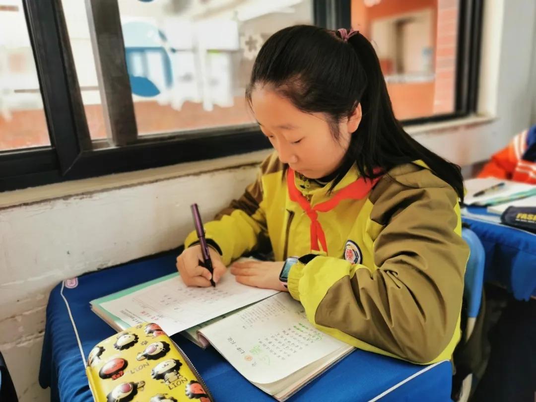 比赛|陕西师范大学奥林匹克花园学校小学部举行高段硬笔书写大赛