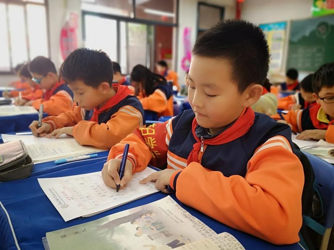 比赛|陕西师范大学奥林匹克花园学校小学部举行高段硬笔书写大赛