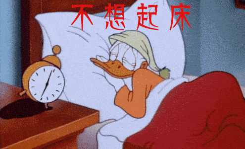 运动之后:要注意 休息,做好肌肉,韧带的 拉伸,放松,同时补充足够的