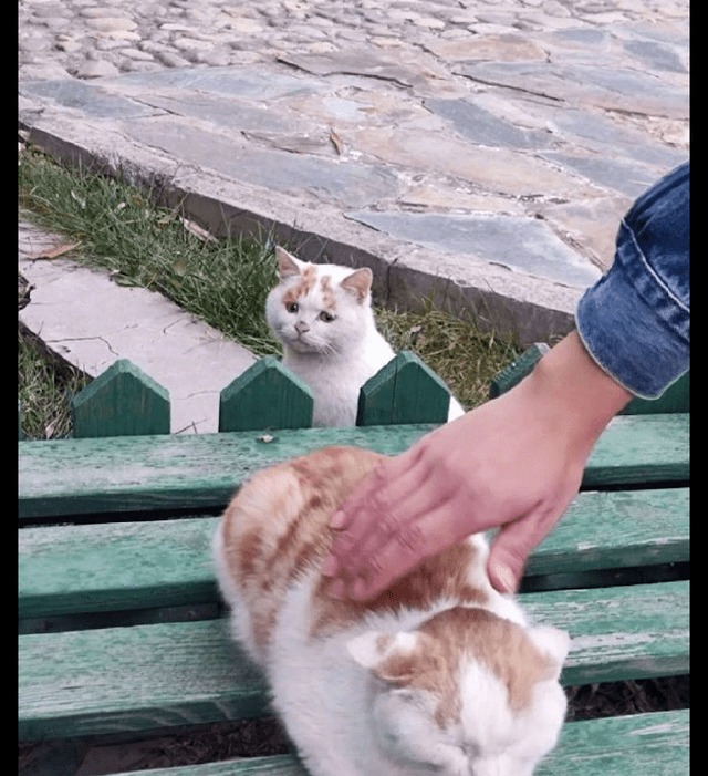 2b722f547ebc4ef0a2b3ae875af81a27.png