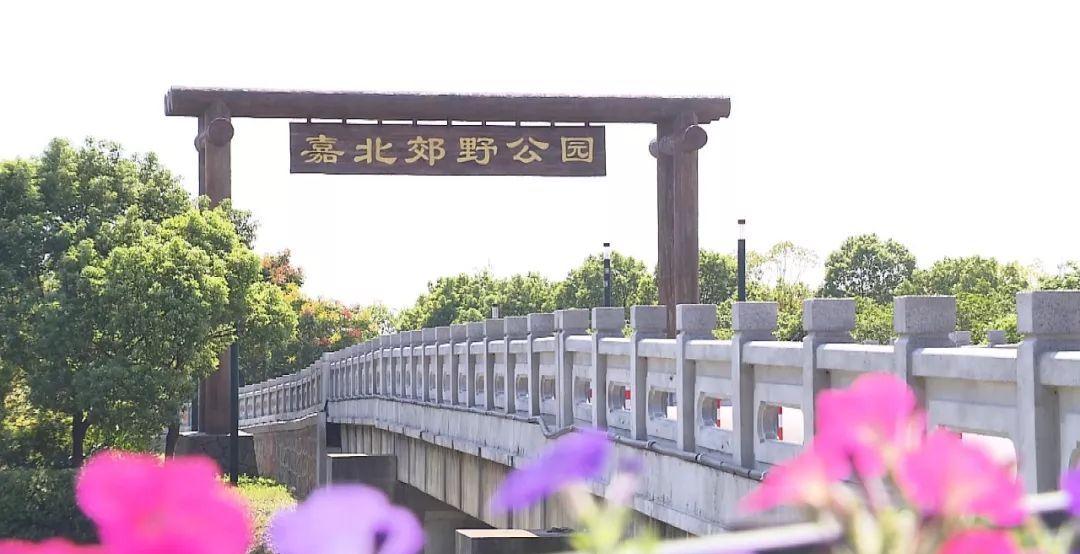 上海嘉北郊野公园,魔都十佳乡村旅游优选地,田园风景