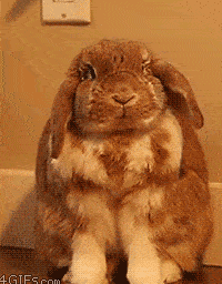 7f0c049198ec4bdcb6f93fb66f9e7c5b.gif