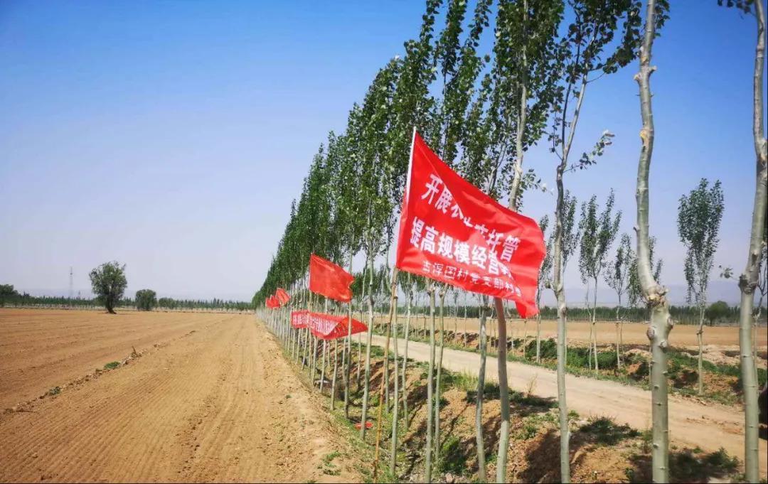 汾阳gdp_郭汾阳(2)