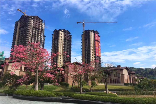 龙门怎么样