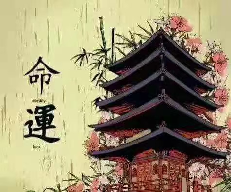 壬午年的人是什么命