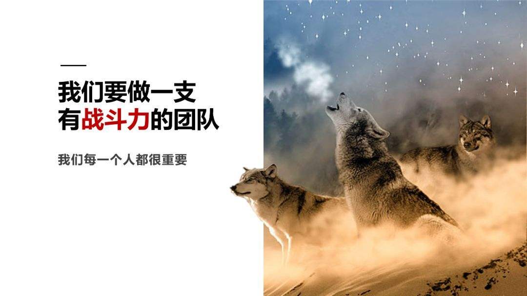 什么狼当什么成语(3)