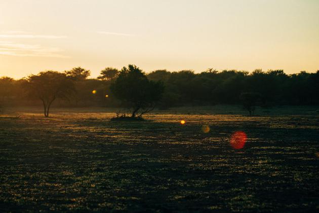钻石|NATURE’S ORIGINS 戴比尔斯（DE BEERS）高级珠宝巡展 抵达北京