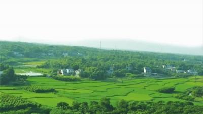 啥叫生态处理 8fbc9f3b11b44e8d8f2eed19424f9583.jpeg