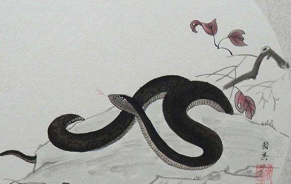 属蛇的是什么命1953 860437846d17406e91bc5fb13ec80369.jpeg