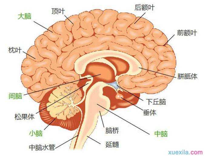 f1062e99cc154bc5b198e58e06e6b087.jpeg