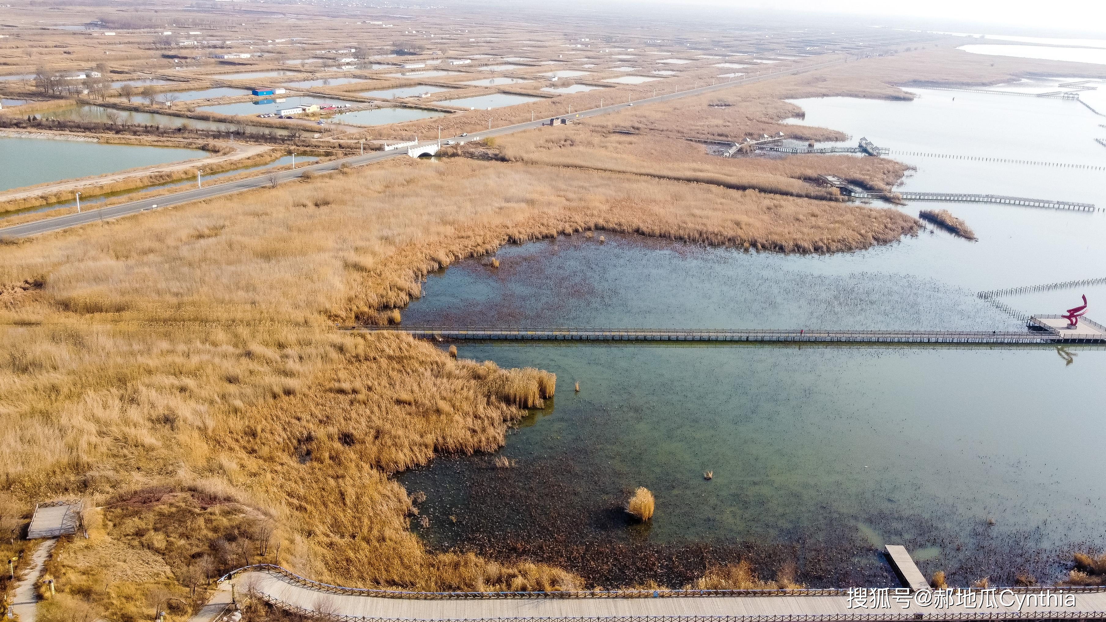 距离呼和浩特2h，因黄河变迁而形成的这片湖泊，被誉为塞外江南