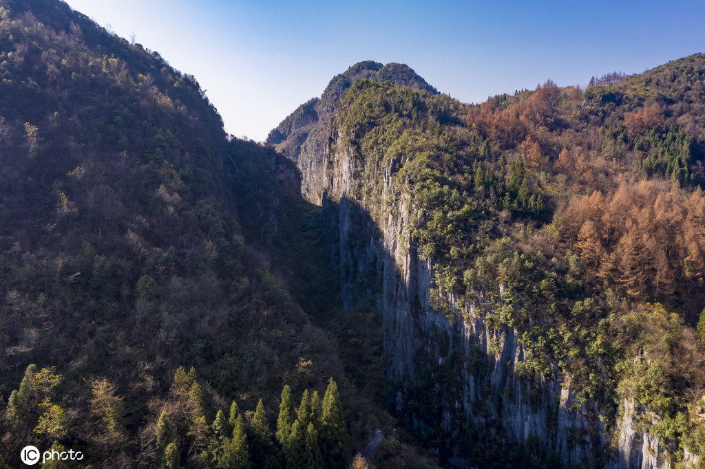 湖北恩施:初冬时节,恩施大峡谷景色如春