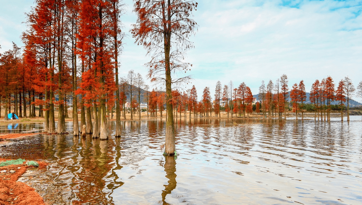 宁波慈溪旅游有什么好玩的地方,十大景点秋色醉人还免费,赶快约起!