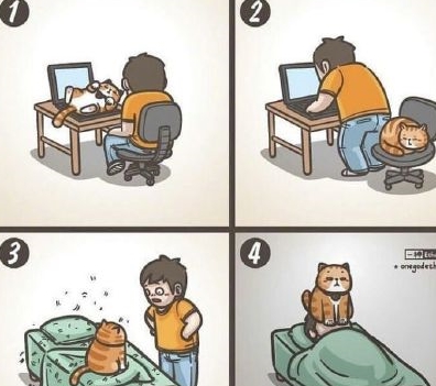 我该怎么办搞笑版 dcd06db476374921b17e332b543d0f20.jpeg