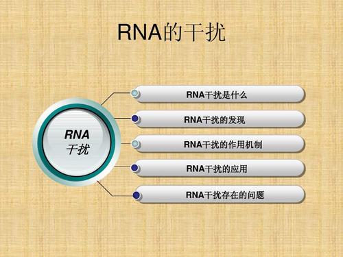 强而|乙肝RNAi新药机制，强而特异性基因沉默，受小双链RNA影响