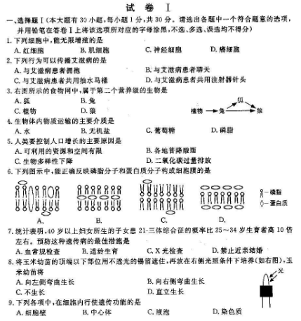3b383dd43b724245ab4d00721317a460.png