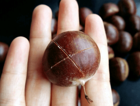 板栗怎么煮好剥壳又好吃本地板栗 3c40cc0fcbb74e6981758d582f456519.png