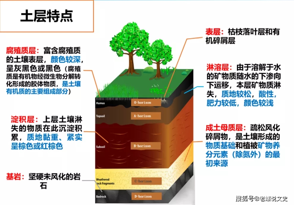 都在说要"吃土"了,可你真的了解土吗?