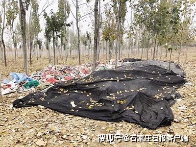 南康庄村人口_南康白起(2)