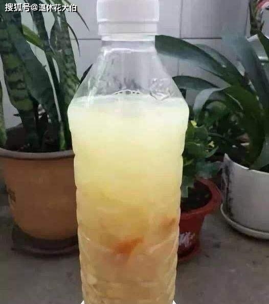 e5cb2448b9fa4edeb4b22fbc712a2302.jpeg