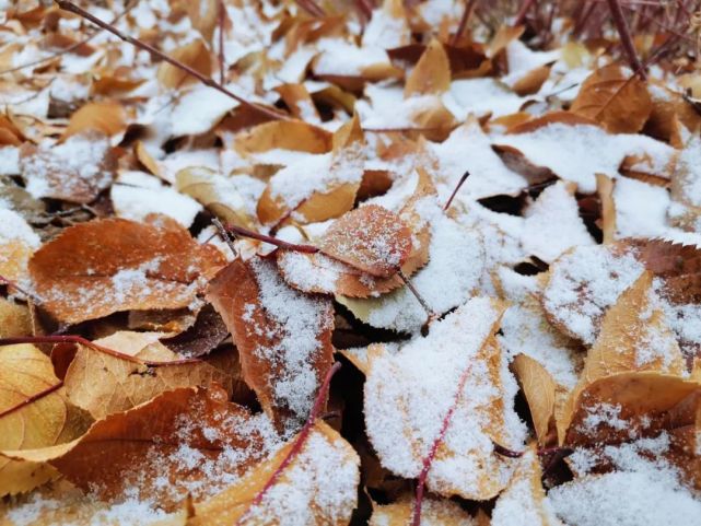 甘肃民勤:冬日初雪 应邀而来