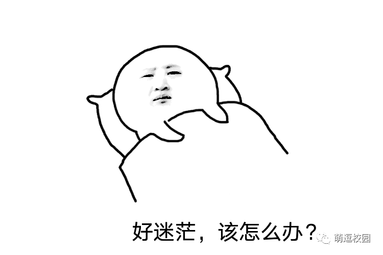 迷茫|职业的选择是始终如一还是要先试试水?