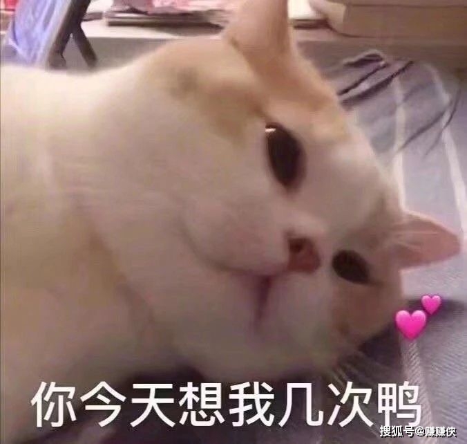 可爱表情包图片:猫咪愣住,可以闭上狗嘴了