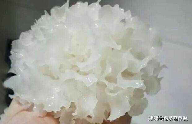 7e3e332ac369469fbc5e0185391b53c6.jpeg