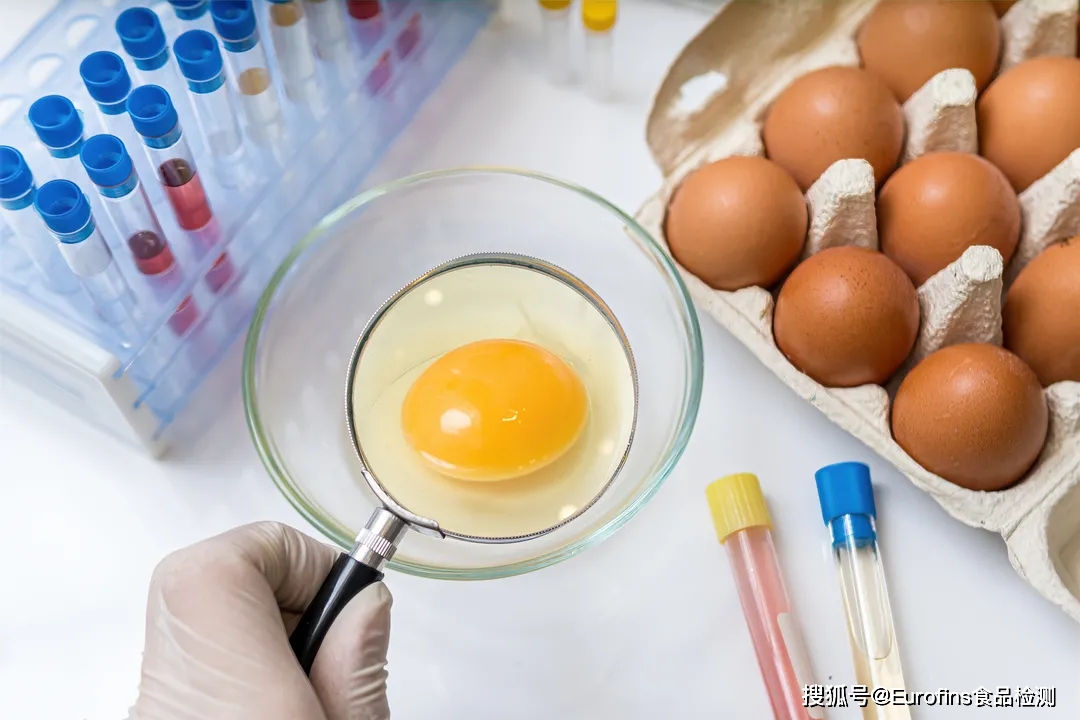 人工智能预测食品安全工具上线