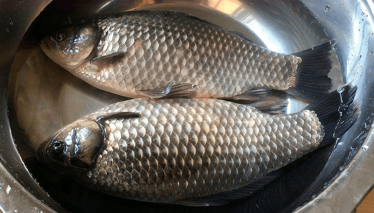 杭州滨江2020上半年g_杭州滨江(3)